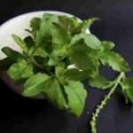 Health Benefits of Tulsi